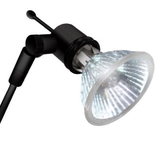 Spotlight EX1