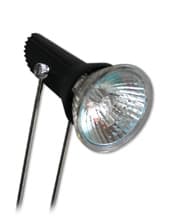 Lumina 3/5/6 1